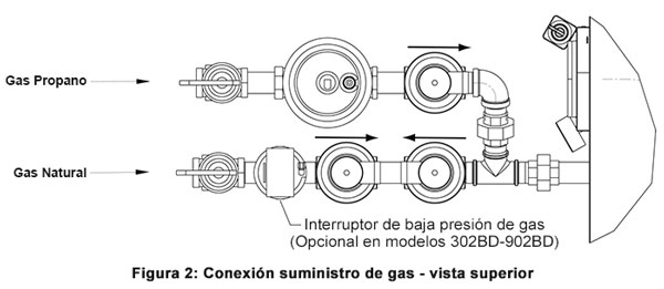conexion-gas-raypak-hidelta-flexgas.jpg