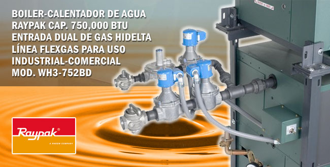 Calentador de agua a gas uso comercial-industrial Raypack
