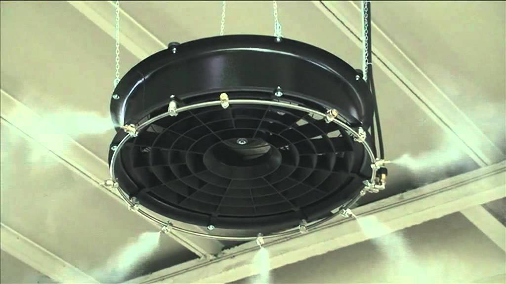 Humidificador