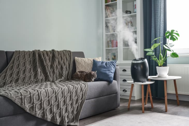 humidificador