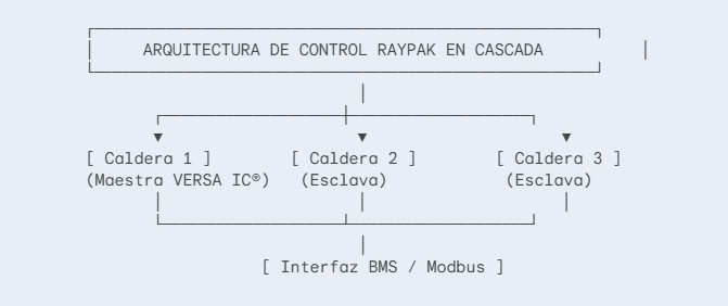 diagrama raypak
